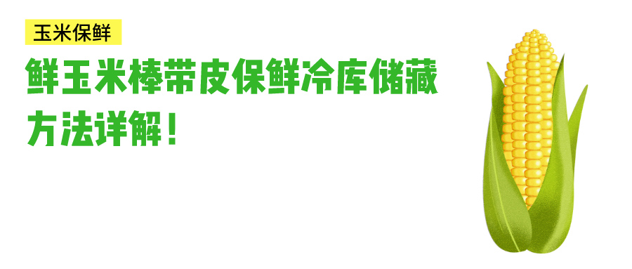 鮮玉米帶皮保鮮冷庫(kù)儲(chǔ)藏方法介紹