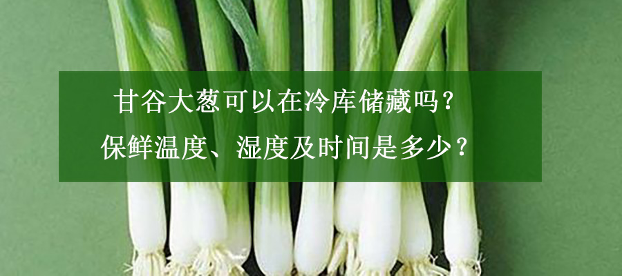 甘谷大蔥可以在冷庫儲藏嗎？保鮮溫度、濕度及時間是多少？