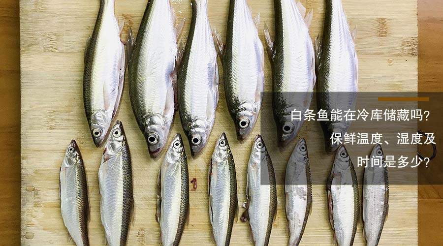 白條魚冷庫儲藏溫度、相對濕度及時間介紹